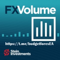 FX Volume Indicator